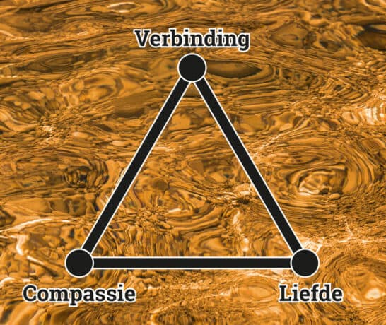 Van vervreemding naar verbinding